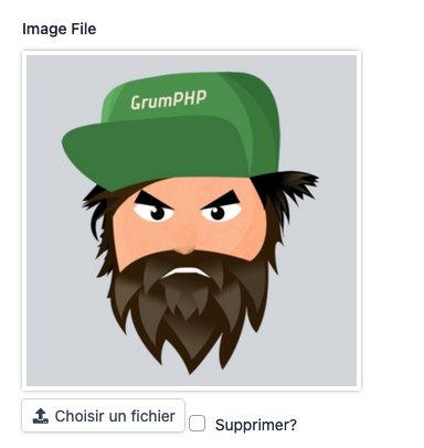 Image correctement affichée, le bug est réparé